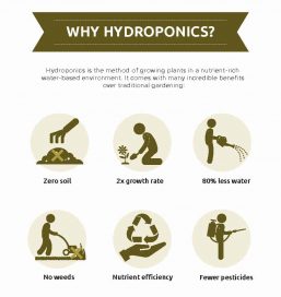 why hydroponics Farmsquare