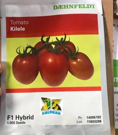 Kilele F1 Hybrid Tomato Seeds (Syngenta Brand) -1000 Seeds/Pack