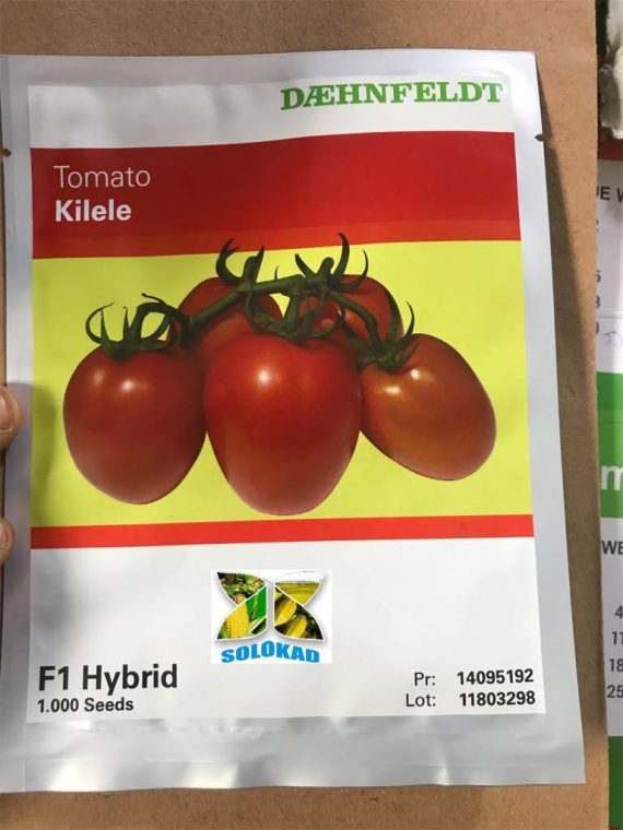 Kilele F1 Hybrid Tomato Seeds (Syngenta Brand) -1000 Seeds/Pack