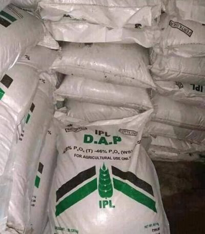 DAP Fertilizer (IPL Brand) -50kg