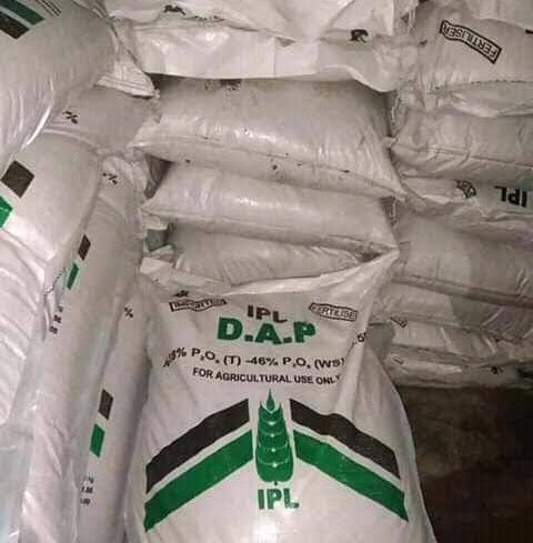 DAP Fertilizer (IPL Brand) -50kg
