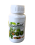 Boostract Organic Stimulant Fertilizer