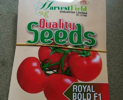 ROYAL BOLD F1 (Harvest Field Seeds)
