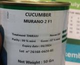 Murano 2 F1 Cucumber (50g | 1800 Seeds)