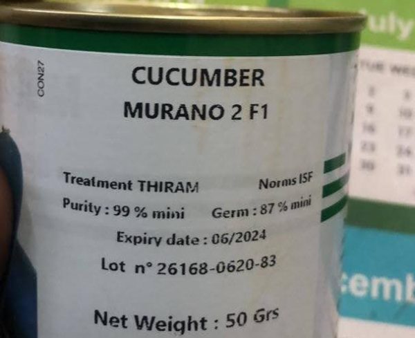 Murano 2 F1 Cucumber (50g | 1800 Seeds)