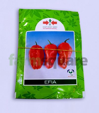 Efia F1 Hybrid Habanero Hot Pepper Seeds
