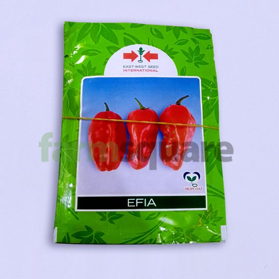 Efia F1 Hybrid Habanero Hot Pepper Seeds