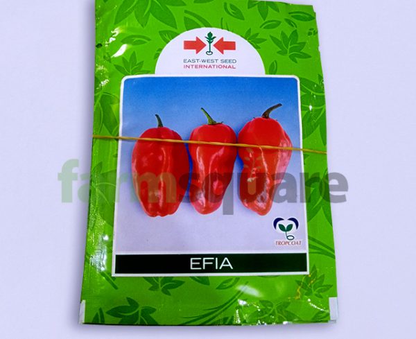 Efia F1 Hybrid Habanero Hot Pepper Seeds