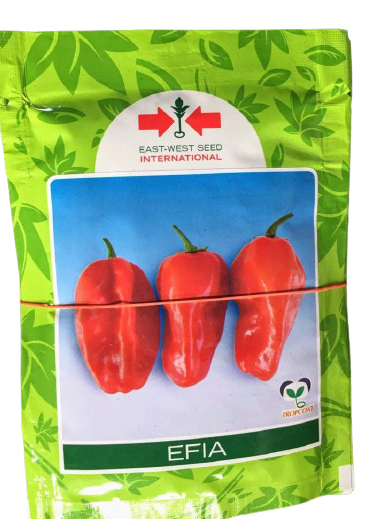 Efia F1 Hybrid Habanero Hot Pepper Seeds (East West seeds Brand) -1000 seeds