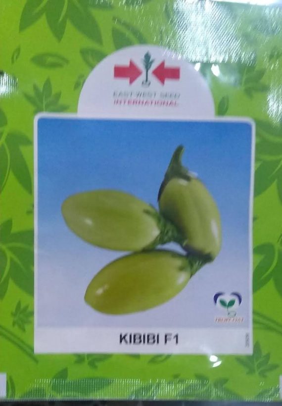 Kibibi F1 Tomato (East West | 500 seeds)
