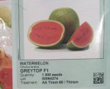 Greytop F1 Hybrid Watermelon (Sakata | 1000 seeds)