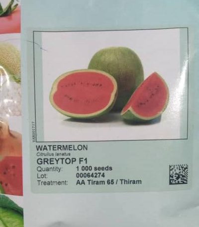 Greytop F1 Hybrid Watermelon (Sakata | 1000 seeds)