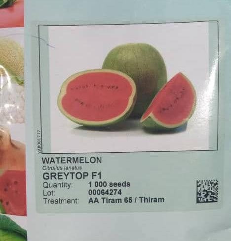 Greytop F1 Hybrid Watermelon (Sakata | 1000 seeds)