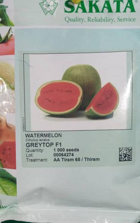 Greytop F1 Hybrid Watermelon (Sakata | 1000 seeds)