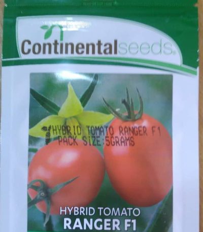 Ranger F1 Hybrid Tomato (Continental Seeds | 5g)