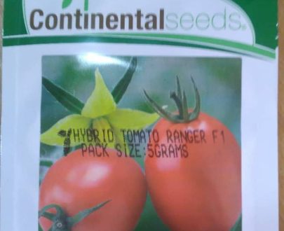 Ranger F1 Hybrid Tomato (Continental Seeds | 5g)