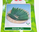 Maha F1 Okra Seeds (East West Seed | 20g | 100g)