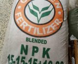 NPK Fertilizer 151515 Golden