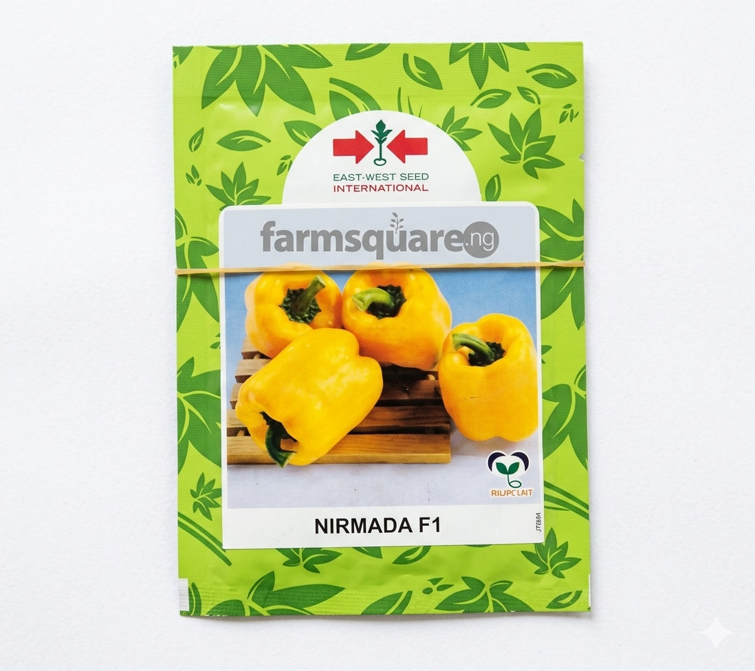 Nirmanda sweet F1 pepper Nirmanda F1 Hybrid Sweet Pepper Seeds