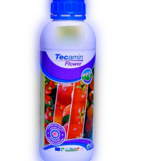 Tecamin Flowering Biostimulant activator (Agritecno Brand)