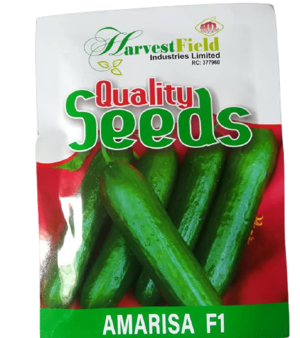 Amarisa F1 Cucumber