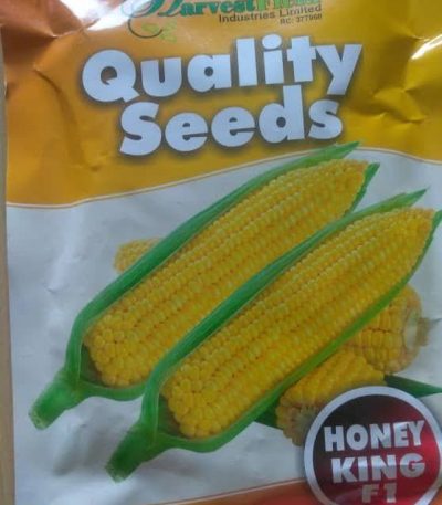 Honey King F1 Sweet Corn Seeds (Harvest Field | 250g)