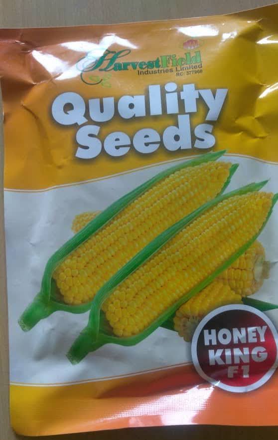 Honey King F1 Sweet Corn Seeds (Harvest Field | 250g)