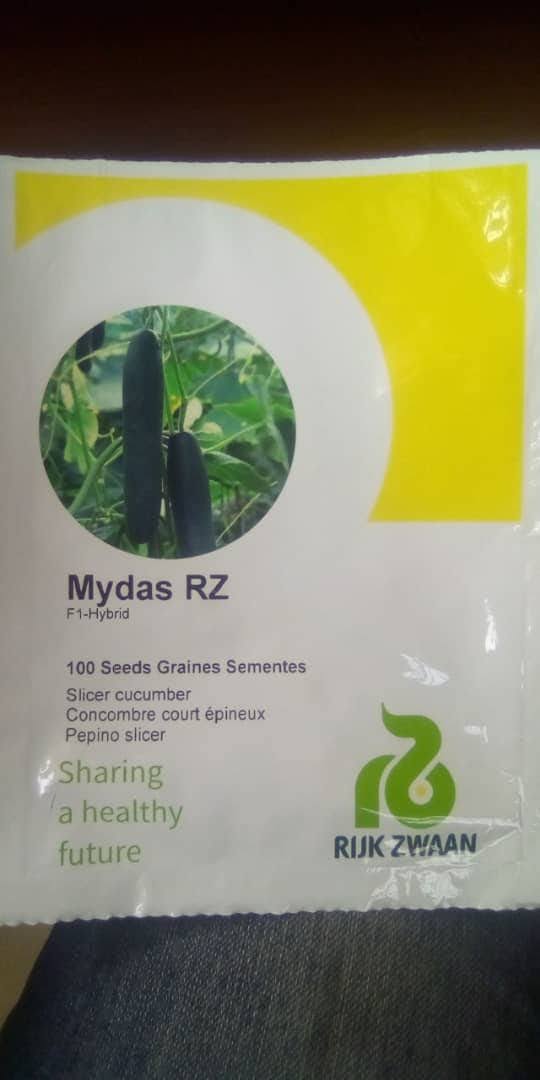 Mydas RZ F1 Cucumber (100 Seeds)