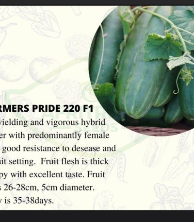 Farmers Pride 220 F1 Cucumber Seeds (10g)