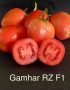 Gamhar RZ F1 Hybrid Tomato (100 seeds)