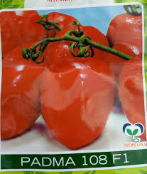 Padma 108 F1 Tomato Seeds (East West | 5g)
