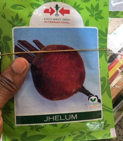 Beetroot Jhelum | East West Seeds | 250g