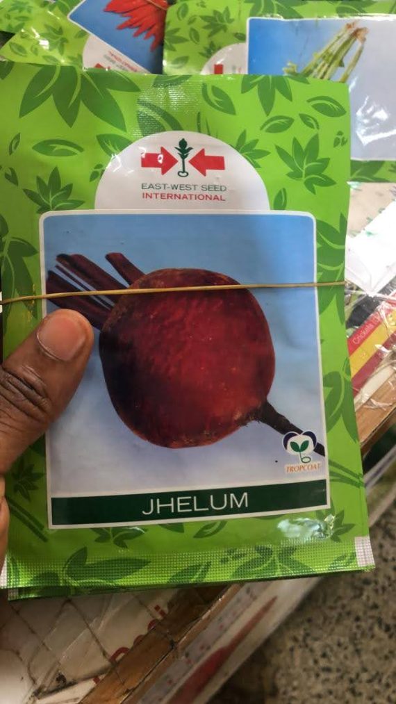 Beetroot Jhelum | East West Seeds | 250g
