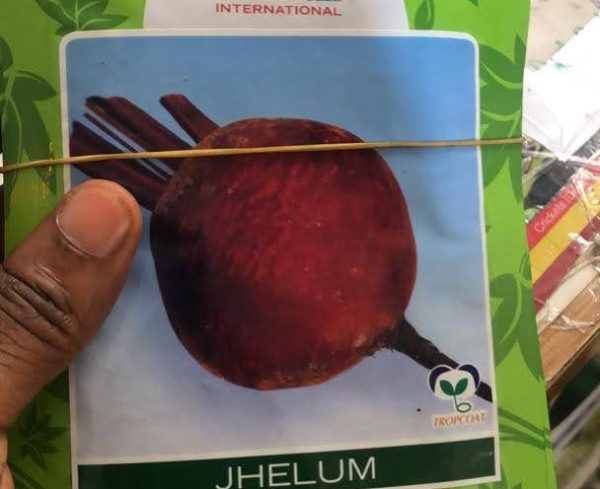 Beetroot Jhelum | East West Seeds | 250g