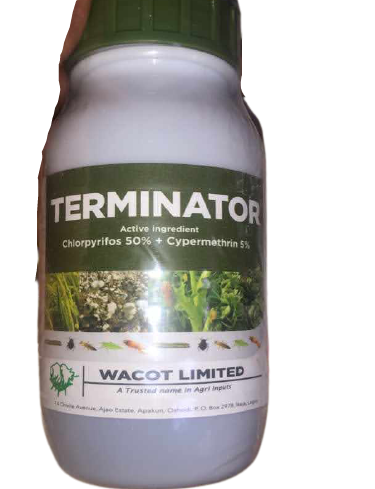 Terminator insecticide