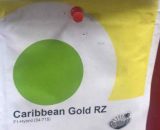 Caribbean Gold RZ F1 Melon (34-715)