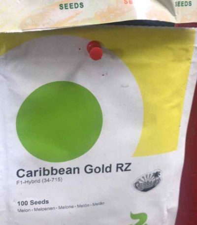 Caribbean Gold RZ F1 Melon (34-715)