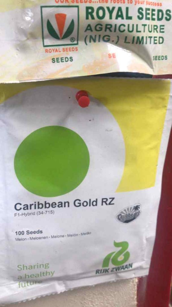 Caribbean Gold RZ F1 Melon (34-715)