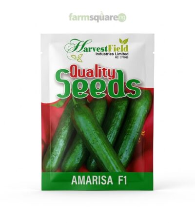 Amarisa F1 Hybrid Cucumber Seeds