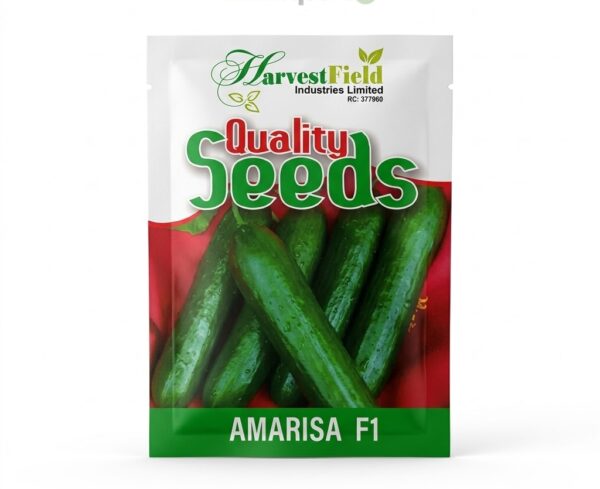 Amarisa F1 Hybrid Cucumber Seeds