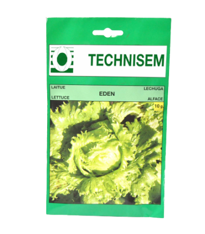 Eden Lettuce Technisem (100g)