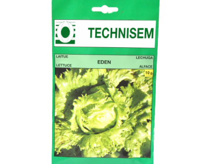 Eden Lettuce Technisem (100g)