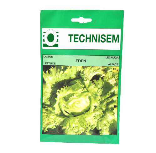 Eden Lettuce Technisem (100g)