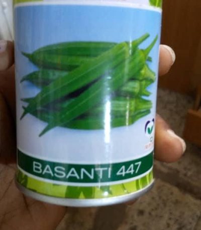 Basanti 447 F1 Okra Seeds (East West | 100g)