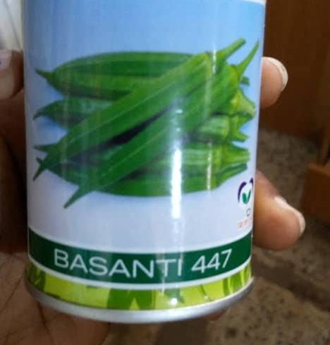 Basanti 447 F1 Okra Seeds (East West | 100g)