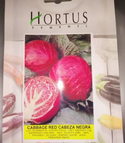 Cabbage red cabeza negra