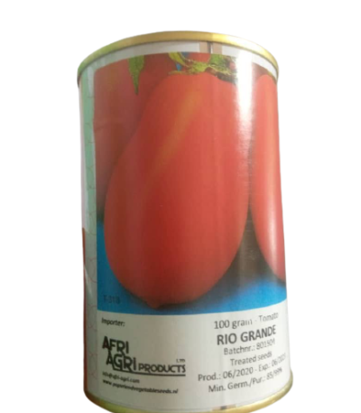 Rio grande Tomato seed