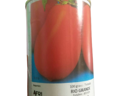 Rio grande Tomato seed