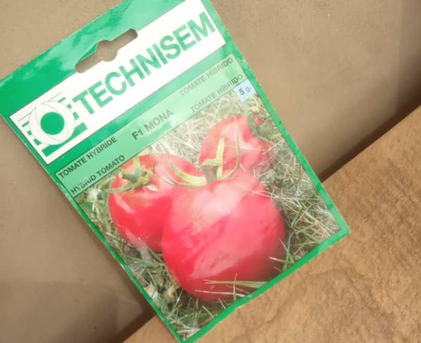 Mona F1 Tomato (Technisem Seeds)