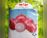 Prema Red Onion Seeds